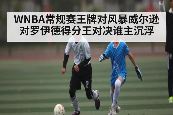 WNBA常规赛王牌对风暴威尔逊对罗伊德得分王对决谁主沉浮