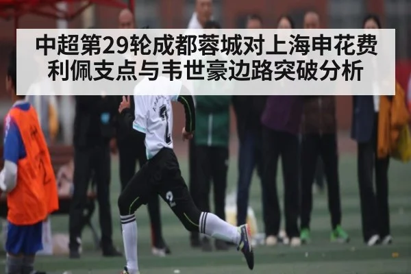 中超第29轮成都蓉城对上海申花费利佩支点与韦世豪边路突破分析